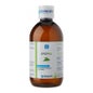 Nutergia Ergysil Bottle 500 Ml Solução