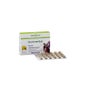BOA GRAMA FORTE 60CPR BIOSLINE