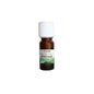 Proposta Óleo Essencial Orgânico Natural Patchouli 10ml