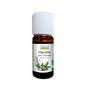 Proposta de Óleo Essencial Orgânico da Natureza Menta de Campo 10ml