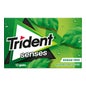 Trident Senses Rainforest Mint 12uds