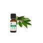 Voshuiles Noble Laurel Óleo Essencial 20ml