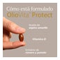 Vitae Oliovita Protect 15caps