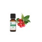 Voshuiles Deitado Óleo Essencial Wintergreen 250ml